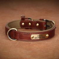 Placa de identificación de cuero personalizada, collares para perros, collar suave y estable, grabado gratuito para perros pequeños, medianos y grandes - details 4