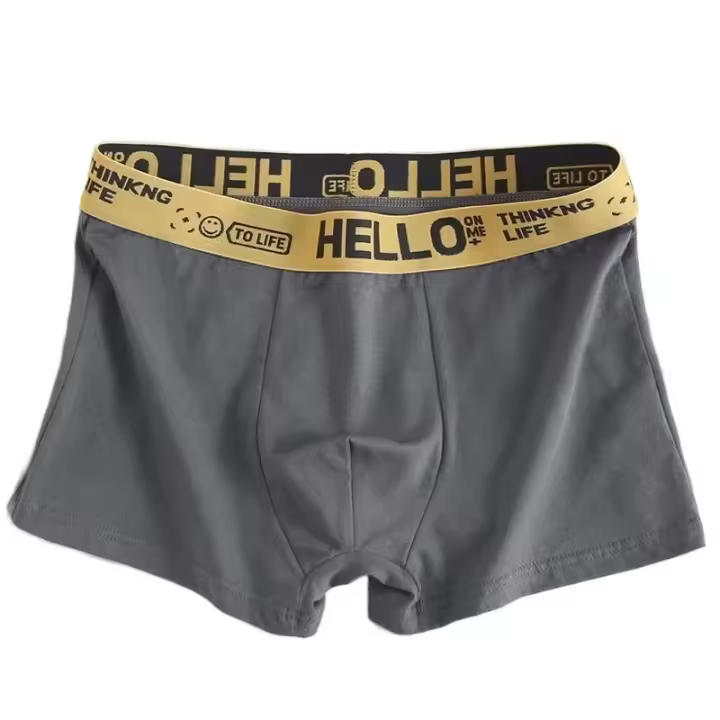 5 uds ropa interior para hombre Boxers masculinos calzoncillos sexis cómodos transpirables moda niños bragas ropa interior Boxershorts hombres - 1