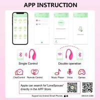 Leten Control inalámbrico vibrador consolador bragas usar huevo vibrador punto G clítoris masajeador vaginal masturbador femenino juguetes sexuales para mujeres - details 1