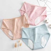 Ropa interior menstrual impermeable de alta absorción a prueba de fugas para mujer, incontinencia, 3XL, 4XL - details 1