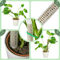 Columna de escalada de plantas, poste de musgo Sphagnum, soporte de cultivo de plantas, soporte de retención de agua, palo de extensión de plantas rico en fertilizante - details 6