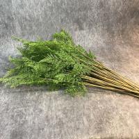 Ramas de plantas de helecho artificiales realistas, hechas a mano, elegantes, verdes artificiales, hierba de helecho, plantas falsas de tacto Real - details 8