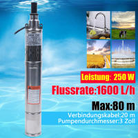 Bomba de Pozo Profundo Submersible de Acero Inoxidable Bomba de Agua Potente de 250 W con Tasa de Flujo Alta de 1600 L/h para Jardín - details 3