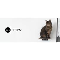 LucyBalu.. ®   Juego de 3 escaleras para gatos trepadores para paredes interiores y exteriores |   Parque infantil de pared para gatos hasta 7 kg. |   Pasos para fijar en la pared. - details 5