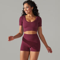 Hamidou-Conjunto de ropa deportiva sin costuras para mujer, Leggings de cintura alta, camisetas de manga corta, pantalones cortos, conjunto de 2 piezas, ropa de gimnasio - details 21