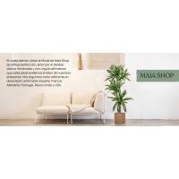 dracena artificial