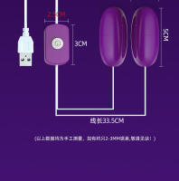 Laile USB lengua lamiendo huevos de doble salto fuerte choque divertidos juguetes para sexo masturbación de mujeres productos sexuales para adultos - details 1