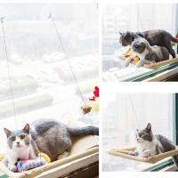 Hamacas para Gatos Percha de Ventana Cama de Gato Montada en la Ventana Ahorradora de Espacio con Ventosas para Mascotas - details 4