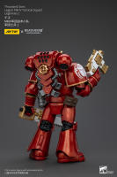 JOYTOY Figura de Acción Horus Heresy Legión de Mil Hijos del Tacticante MK IV - details 23