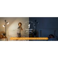 Función 1H-Timer