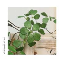 Hoja artificial de Guanyin, 90cm/35,4 pulgadas, estilo Pastoral fresco, mesa para sala de estar, plantas de ración - details 5