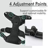 Arnés sin tirantes para perro, chaleco acolchado suave y ajustable para mascotas, color negro, 2 Clips de correa - details 3