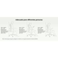SIHOO M18 Silla Ergonómica de Oficina