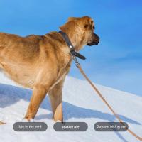 Correa de PVC Impermeable para Perros Grandes Fuerte, Larga, Fácil de Limpiar para Entrenamiento de Correr - details 5