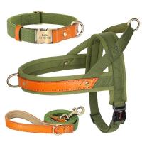 Collar de Cuero de Nylon para Perros Correa de Captura de Mascotas sin Tirón para Perros Pequeños y Grandes Correa de Vestir de Mascotas - details 7