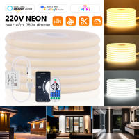 Tira de luces Led WIFI, tira de luces Led COB de alto brillo de 220V, cinta Flexible impermeable IP65 para iluminación de jardín al aire libre de habitación - details 8