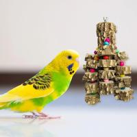 Large Bird Parrot Toy Cage Natural Wooden Blocks Bird Chewing Toy Parrot Cage Bite Toy Macaws Cockatoos Accessoires