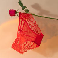 Braguitas de encaje rojo de malla, sensación desnuda femenina, sin costuras, de cintura baja, de algodón, entrepierna transpirable. - details 0