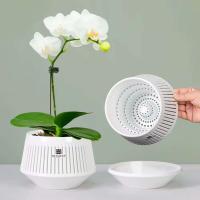Orquídeas perforadas, plantas de interior y exterior de plástico reciclado, ETA para decoración del hogar. - details 1