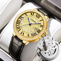 Calado falso reloj mecánico hombre luminoso calendario resistente al agua - details 4