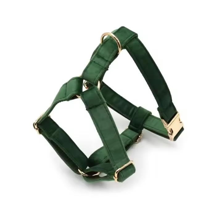 Terciopelo Verde Pavo real Grabado, Conjunto Correa de arnés Perros personalizado, Collar able sin escape para mascotas con - 1