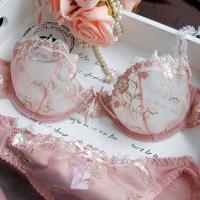 Exquisito conjunto de lencería de encaje transparente ultrafino rosa loto con bordado para mujer - details 11