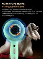 Secador de Pelo de Mascotas de Alta Potencia Fenice Secador de Agua Silencioso para Baño de Perros y Gatos Secado Rápido - details 5