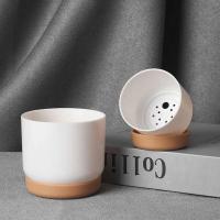 Plástico blanco uso interior, mini macetero floral con agujeros de drenaje jugoso o cactus, para plantas, ETA - details 4