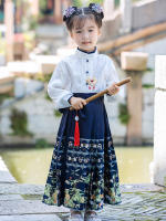 Conjunto de Falda Hanfu para Niñas Otoño 2025 Traje de Estilo Chino Antiguo para Actuaciones de Recitación Zapatos y Ropa - details 31