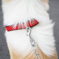 Collar de Nylon Duradero para Perros Correa Larga con Anillo de Tracción - details 0