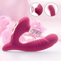 Embalaje privado Vibrador de succión de vagina sexy 10 velocidades Vibración Succión oral Estimulación del clítoris Masturbación femenina Juguetes sexuales eróticos para adultos - details 0