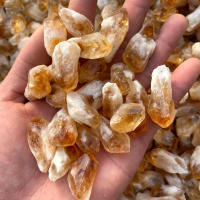 Combo de citrino de amatista Natural, trozos de puntos de cristal, cristales curativos, paisajismo, decoración de pecera Feng Shui, 100g - details 2