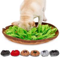 Alfombra de Aromatización Doble Propósito Tapete de Entrenamiento para Perros y Gatos - details 0