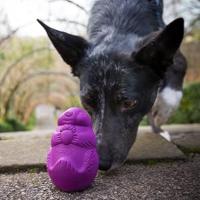 Juguete automático para perros de leckerli, juguete activo para perros