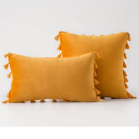 Bonenjoy 1 funda de cojín con borlas, funda de almohada de terciopelo, fundas de almohada de color sólido para decoración de sofá/cama/coche, 30x50/45x45/50x50 - details 7