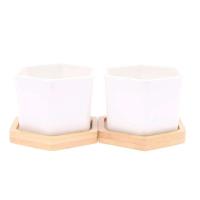 Bandeja de cerámica hexagonal blanca simple europea ETA, contenedor de plantas jugosas, bonsai pequeño ETA - details 15