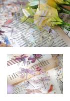 3 hojas de adhesivo decorativo de plumas de pájaros Dragoy, conjunto de pegatinas para álbum de recortes, diario, cuaderno, planificador - details 14