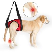 Arnés de tracción para perro.