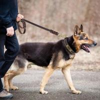 Cuero genuino de 1,2 a 2,6 m con gancho de cobre, correa de entrenamiento trenzada duradera para perros Pitbull grandes y medianos - details 4