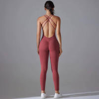 Hamidou-body de Yoga elástico, ropa de gimnasio, ropa deportiva de realce, mono de entrenamiento sin espalda, conjunto de Yoga de alta elasticidad para gimnasio - details 27