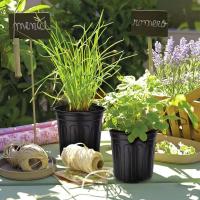 Macetas negras de plástico para guardería con orificios de drenaje, bandejas para té utilizadas para plantas, flores y verduras de jardinería - details 4