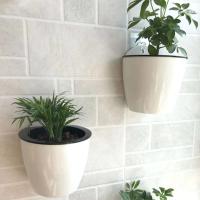 Planta de plástico montada creativa absorción de agua automática ETA, decoración de pared pequeña ETA - details 1