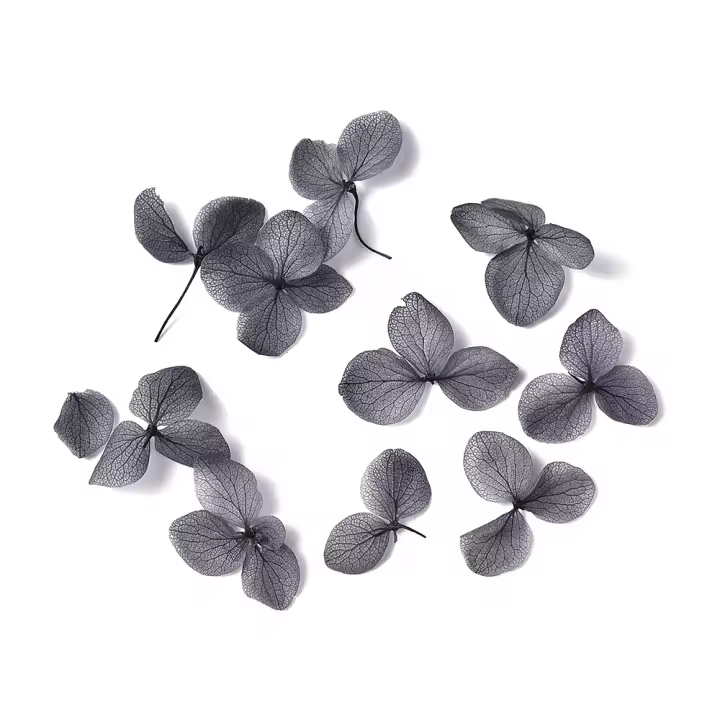 KADS Punzones de Imitación en 3D con Flores de Hialandria Secas Multicolor Ideal para Decoración de Uñas y Salones de Belleza - 1