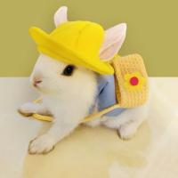 Accesorios de Chaleco para Conejo Correa para Mascotas al Aire Libre Ropa de Conejo con Correa de Arneso - details 2