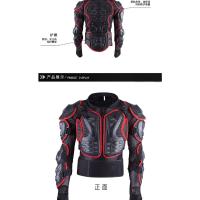 Motocross Moto Armadura Traje de Carreras de Protección contra Caídas Conjunto de Protector de Pecho y Espalda Pantalones Cortos Rodilleras - details 5
