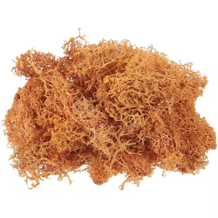 Musgo Artificial de 3.5 Oz Ideal para Manualidades, Musgo Natural Conservado para Proyectos de Arte Floral, Decoración de Pared, Boda, Jardín - 1