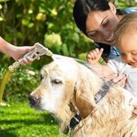 garden hose nozzle