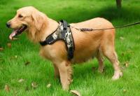 Arnés para perros de nailon duradero, chaleco para perros grandes y medianos, collar de liberación rápida, suministros pequeños, accesorios para mascotas - details 10