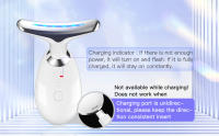 face massager