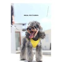 Correa reflectante para perros y gatos Set de correa de pecho transpirable duradero para paseos al aire libre Adecuado para perros y gatos pequeños y medianos - details 4